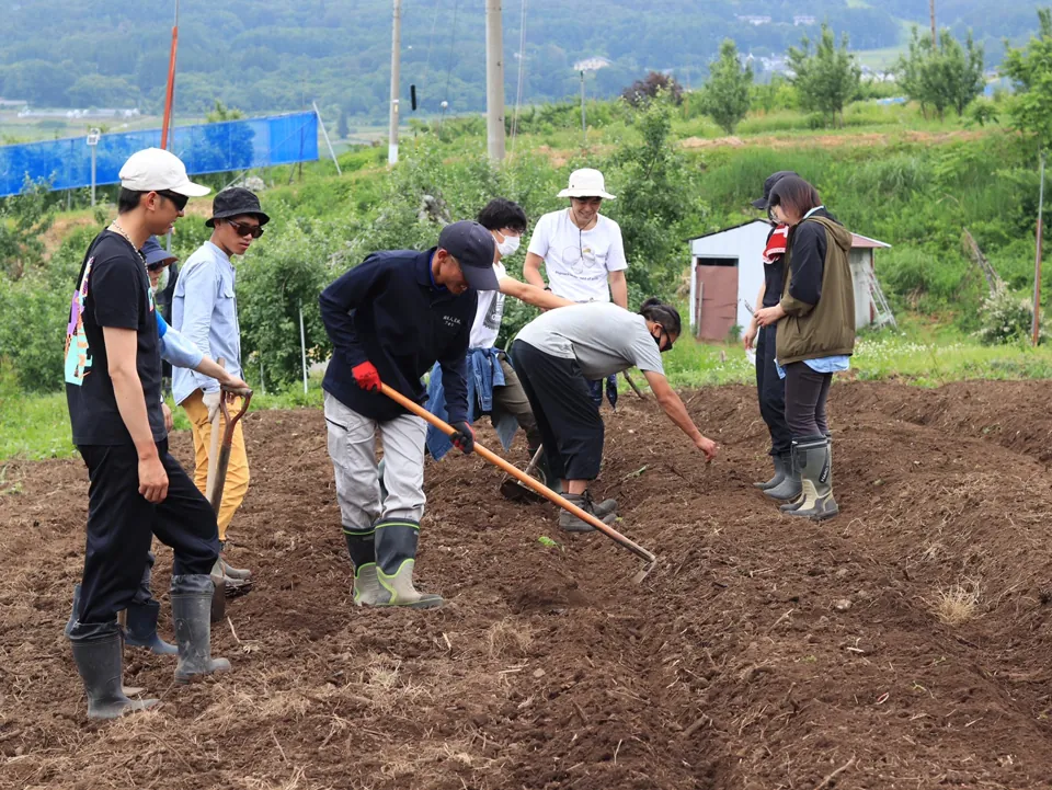 会員メンバーで国産ポップコーンの畑を耕す共同作業